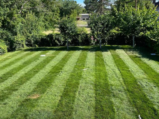 House for sale in Roseau, Minnesota