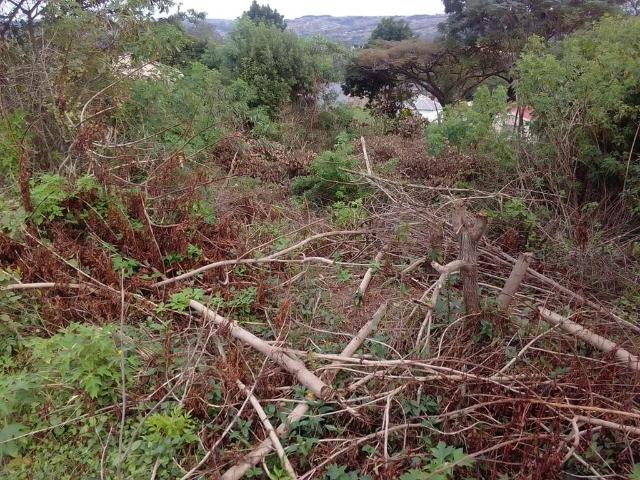 Land for sale in Durban