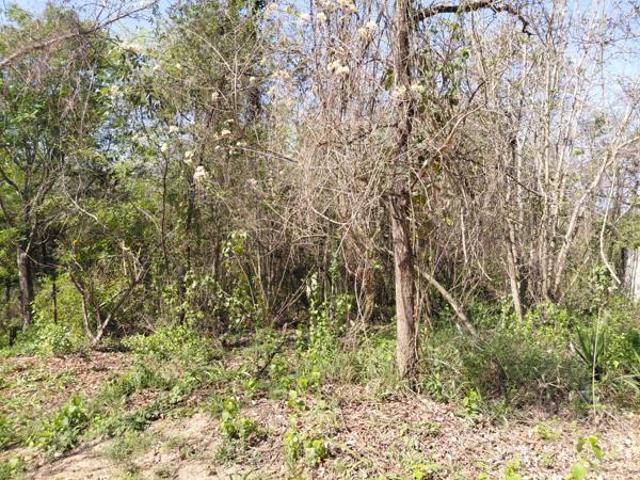 Land for sale in Hazyview, Mbombela