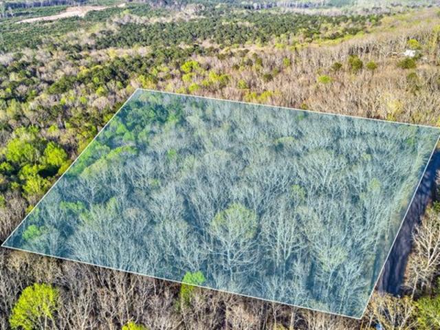 Land for sale in Waverly Hall, Georgia