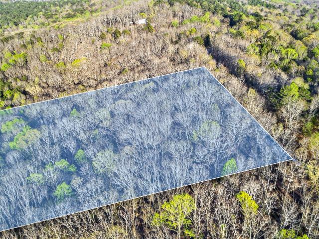 Land for sale in Talbot, Georgia