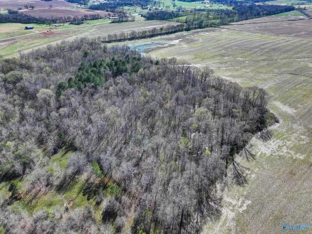 Land for sale in Alabama