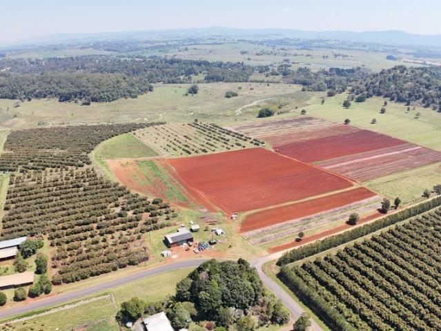 Cottage for sale in Tablelands, Queensland