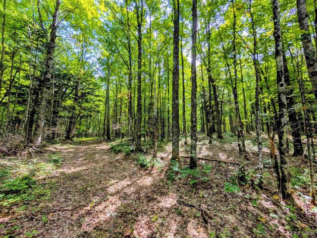 Land for sale in Michigan