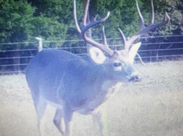 Property for sale in Robertson, Texas