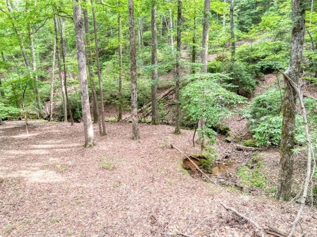 Land for sale in Big Canoe, Dawson County