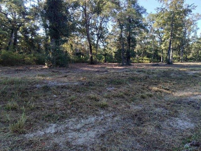 Land for sale in Crawfordville, Florida