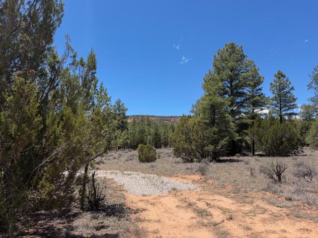 Land for sale in Ramah, New Mexico