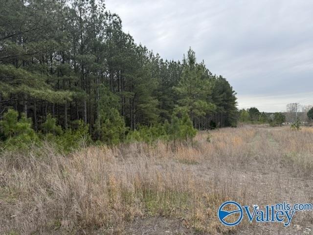 Land for sale in Flat Rock, Alabama