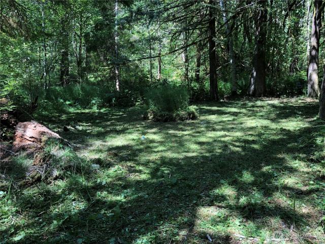 Land for sale in Shelton, Washington