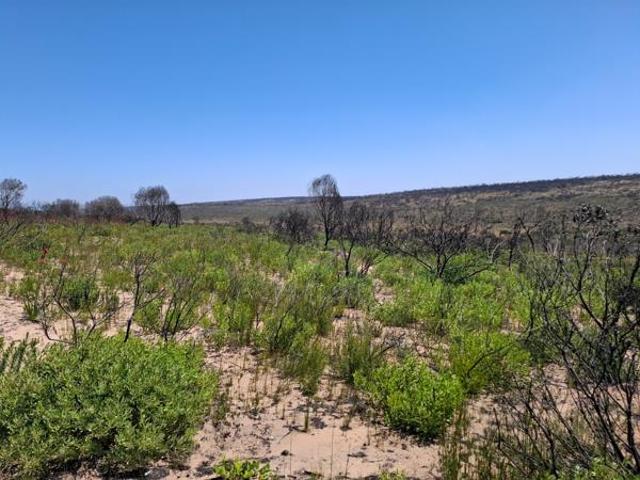 Farm for sale in Groot Brak Rivier, Western Cape