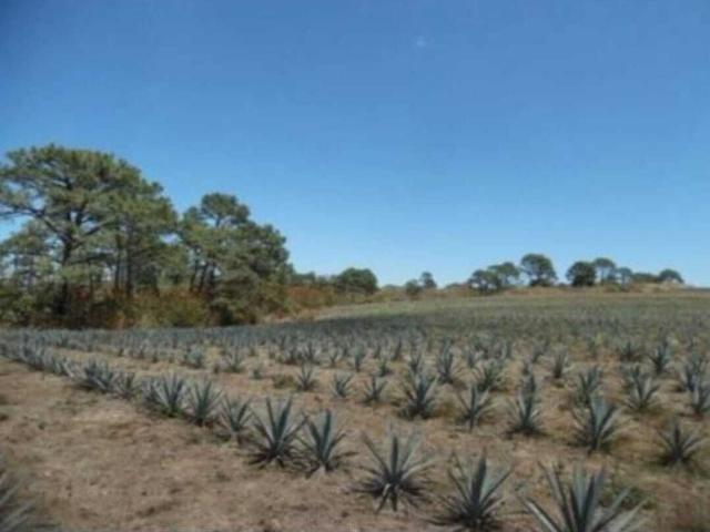 Rancho en venta en Santa María Del Oro, Nayarit