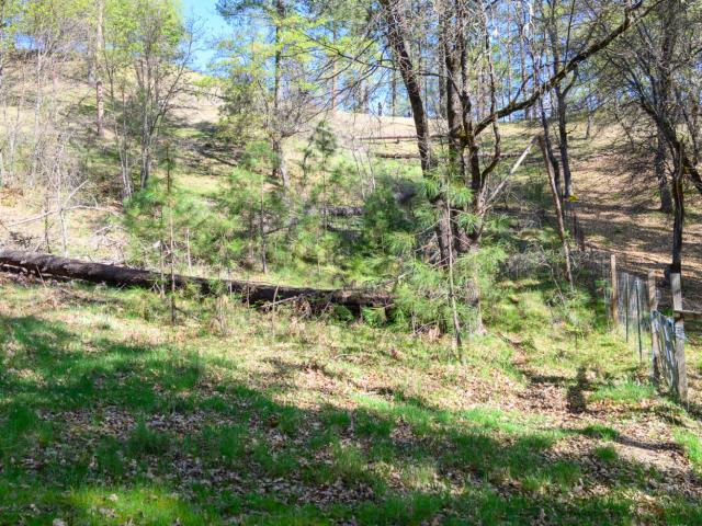 Land for sale in Lewiston, California