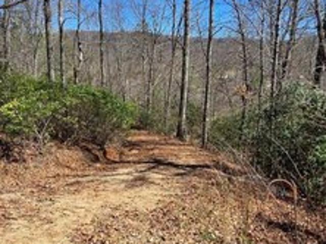 Land for sale in Transylvania, North Carolina