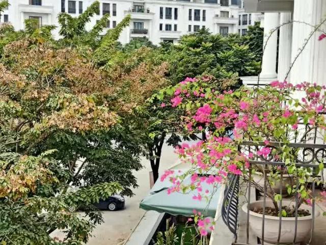 Biệt Thự bán tại Hoàn Kiếm, Hà Nội