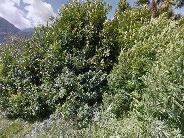 Apartment mieten in Cresciano, Tessin