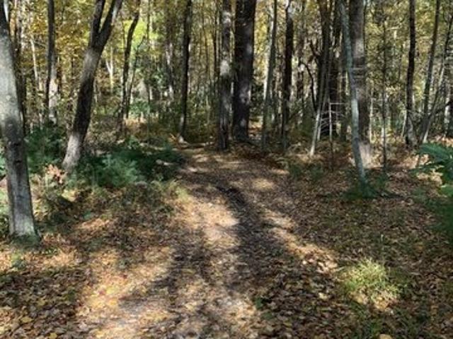 Land for sale in Sherborn, Massachusetts
