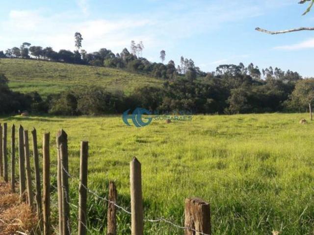 Sítio e chácara venda em Região Geográfica Imediata de Oliveira, Crucilândia