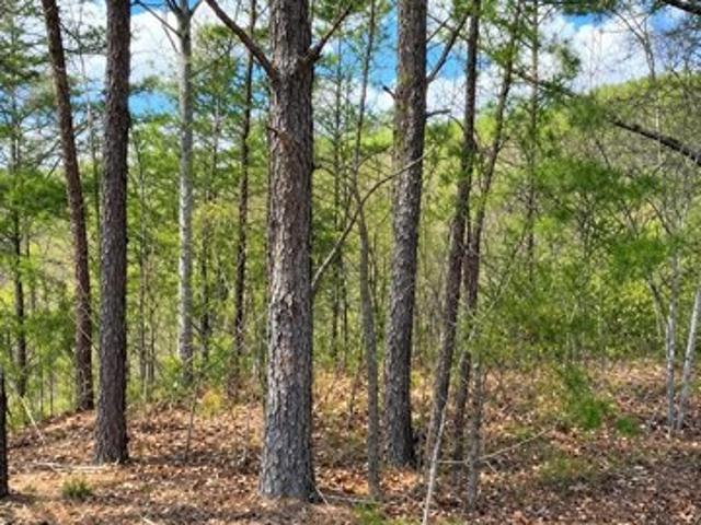 Land for sale in Sevierville, East Tennessee