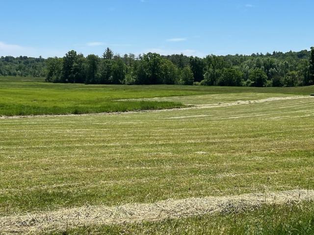 Land for sale in New Hampshire