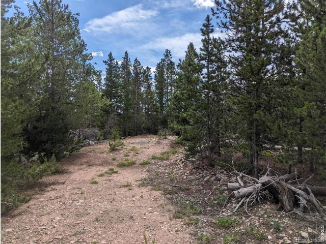 Land for sale in Red Feather Lakes, Colorado