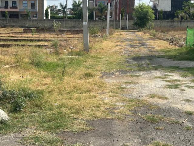 Land for sale in Jharli, Arunachal Pradesh