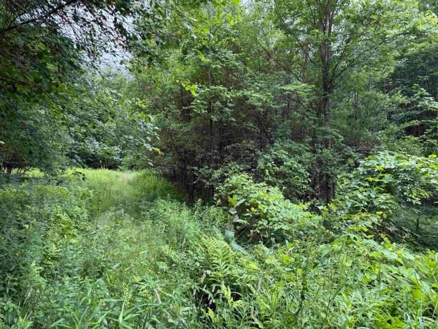 Land for sale in New Hampshire