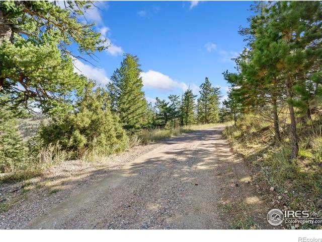 Land for sale in Livermore, Colorado