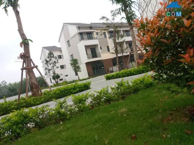 Biệt Thự bán tại Bắc Ninh