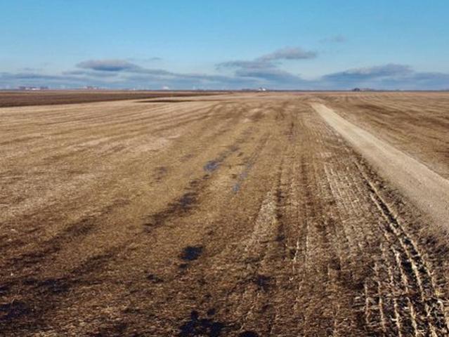 Land for sale in Kossuth, Iowa
