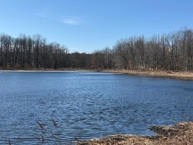 Land for sale in Mecosta, Michigan