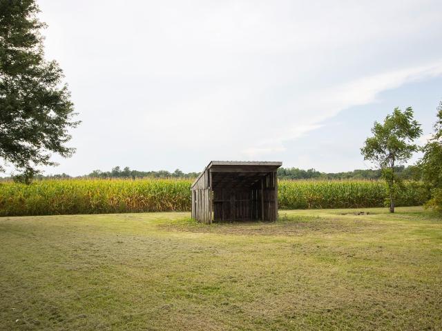 Land for sale in Albany, Indiana