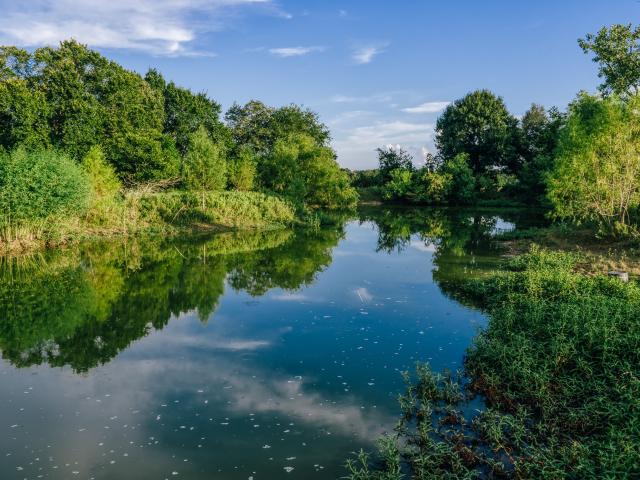 Farm for sale in Brenham Downtown Historic District, Brenham