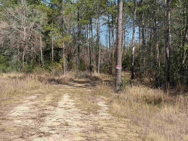 Land for sale in Kountze, Texas