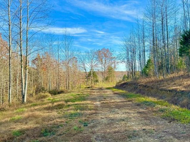 Land for sale in Liberty, Kentucky
