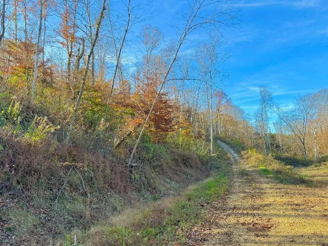 Land for sale in Liberty, Kentucky
