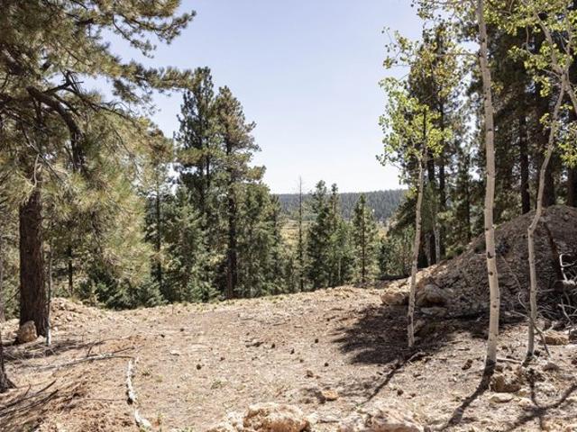 Land for sale in Duck Creek Village, Utah