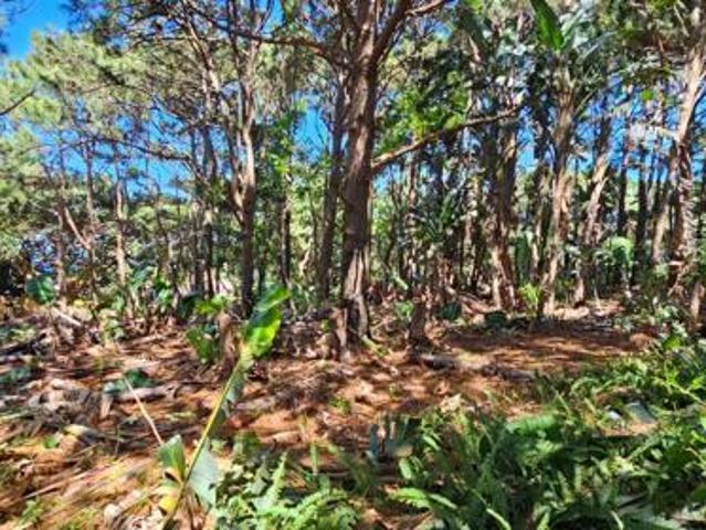 Land for sale in Ugu District Municipality, Kwazulu-natal