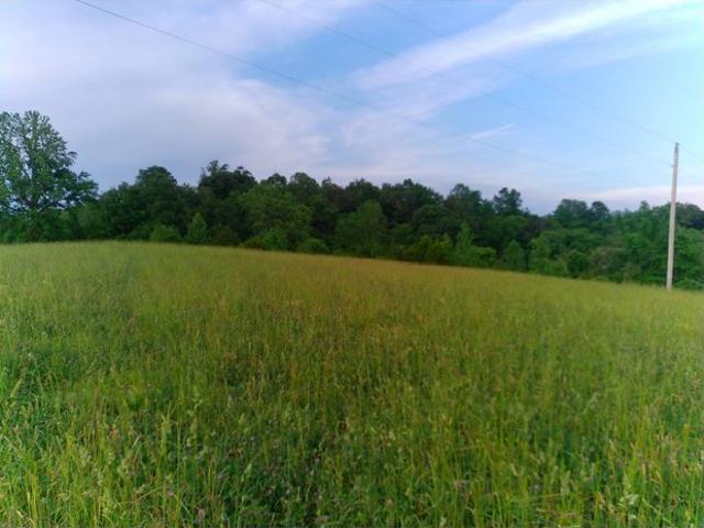 Land for sale in Campbellsville, Kentucky