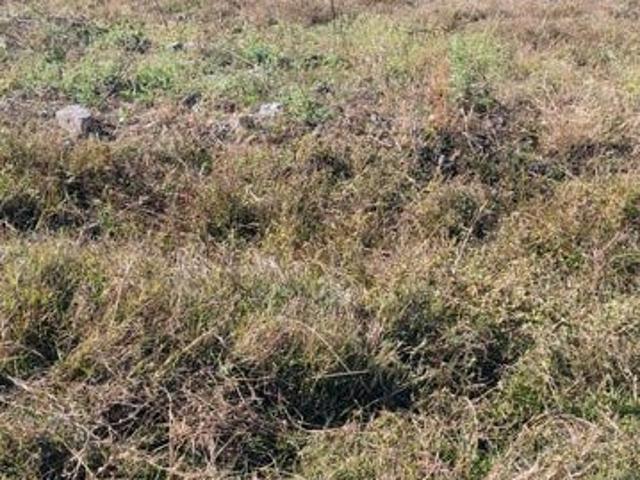 Land for sale in Madya