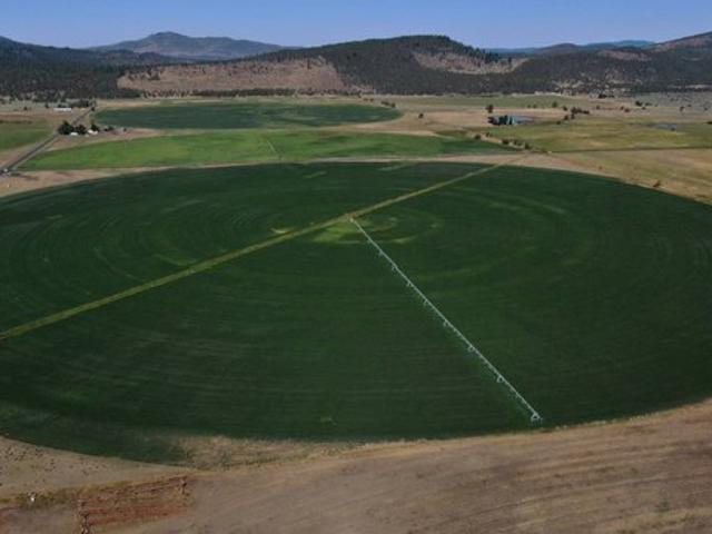 Farm for sale in Lakeview, Lake County