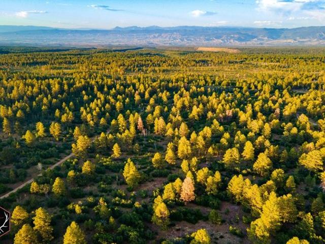 Land for sale in Montrose, Montrose County