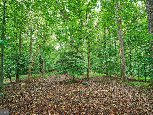 Land for sale in Virginia