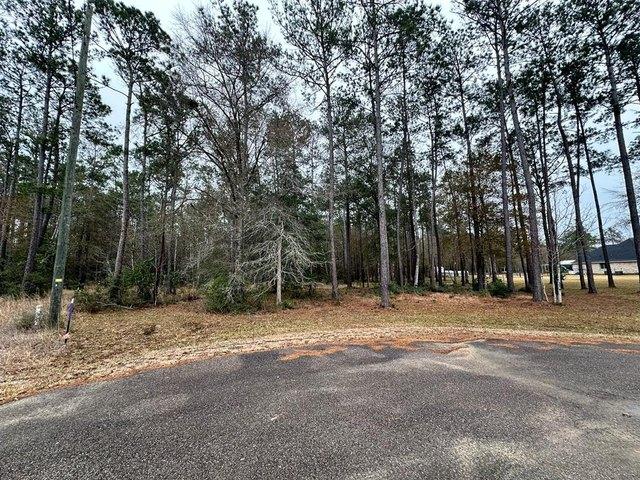 Land for sale in Kountze, Texas