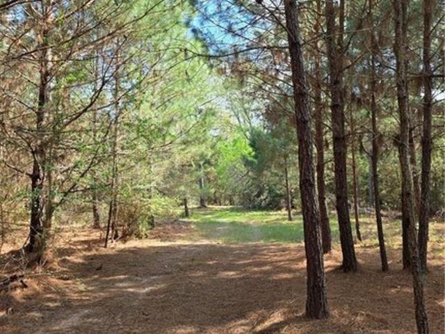 Land for sale in Grimes, Texas