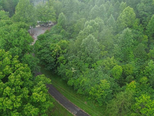 Land for sale in Albany, Kentucky