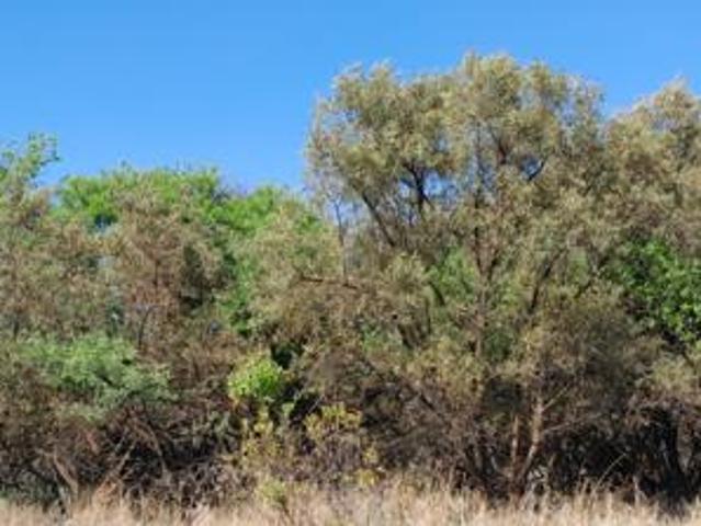 Land for sale in North West