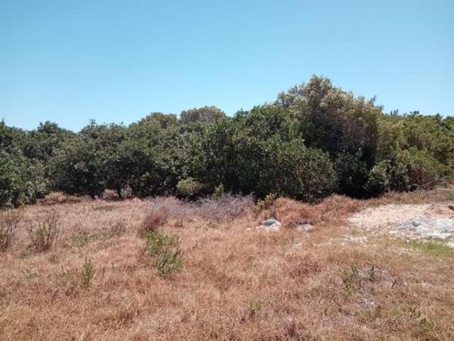 Land for sale in Cape St Francis, Eastern Cape