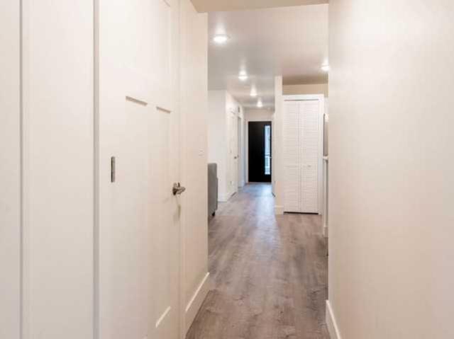 Apartment for rent in Ann Arbor, Michigan