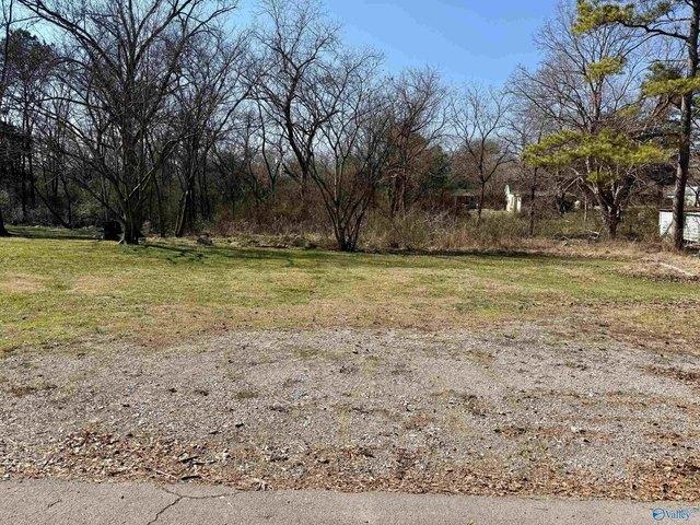 Land for sale in Danville, Alabama